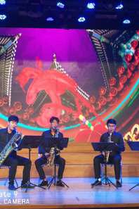 2017中瑞旅游年淮北文化交流活动圆满举办